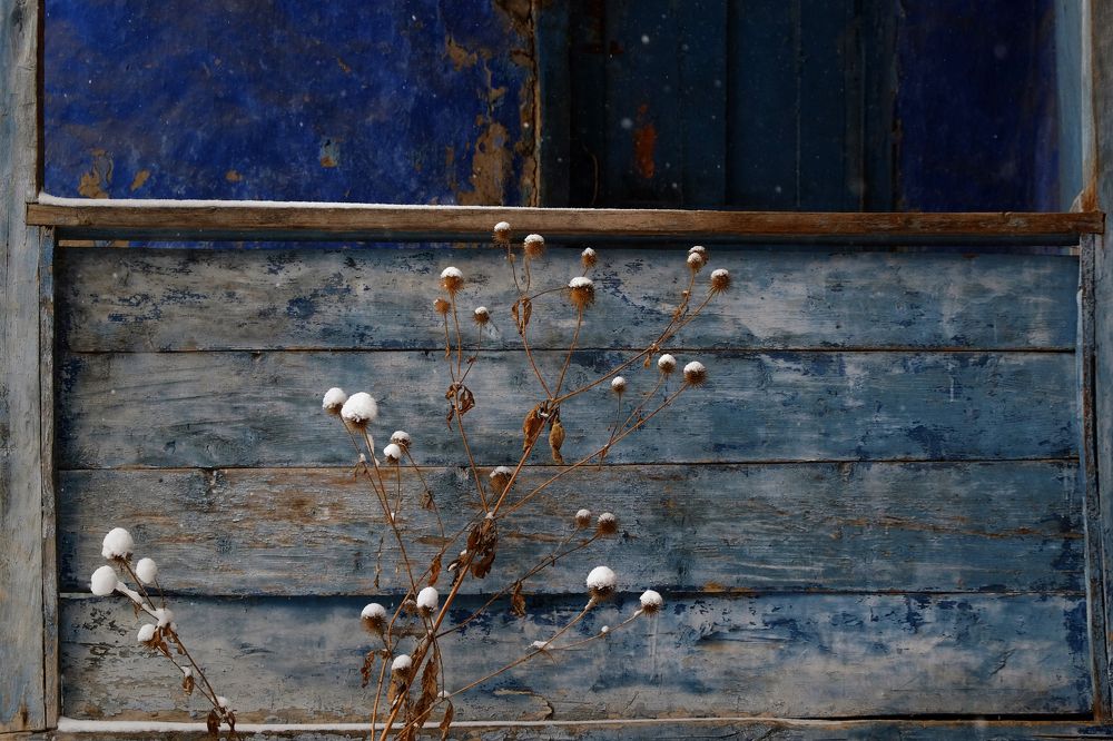 Фотография автора senjor