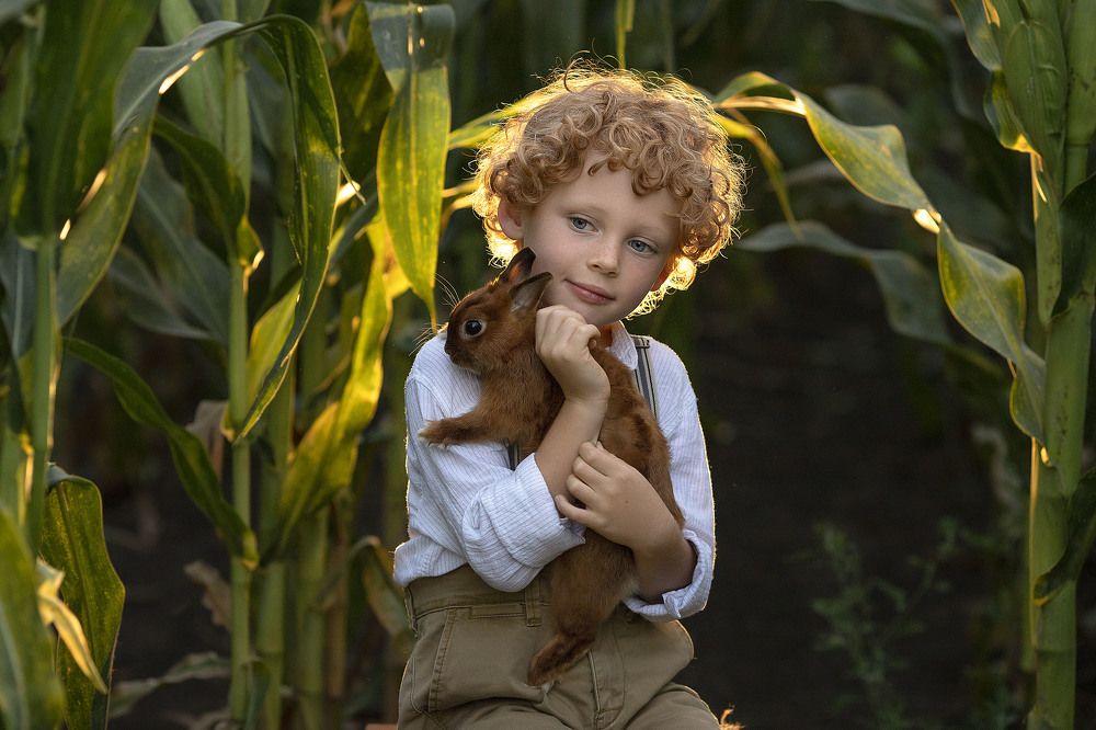 Photograph by Прошина Людмила