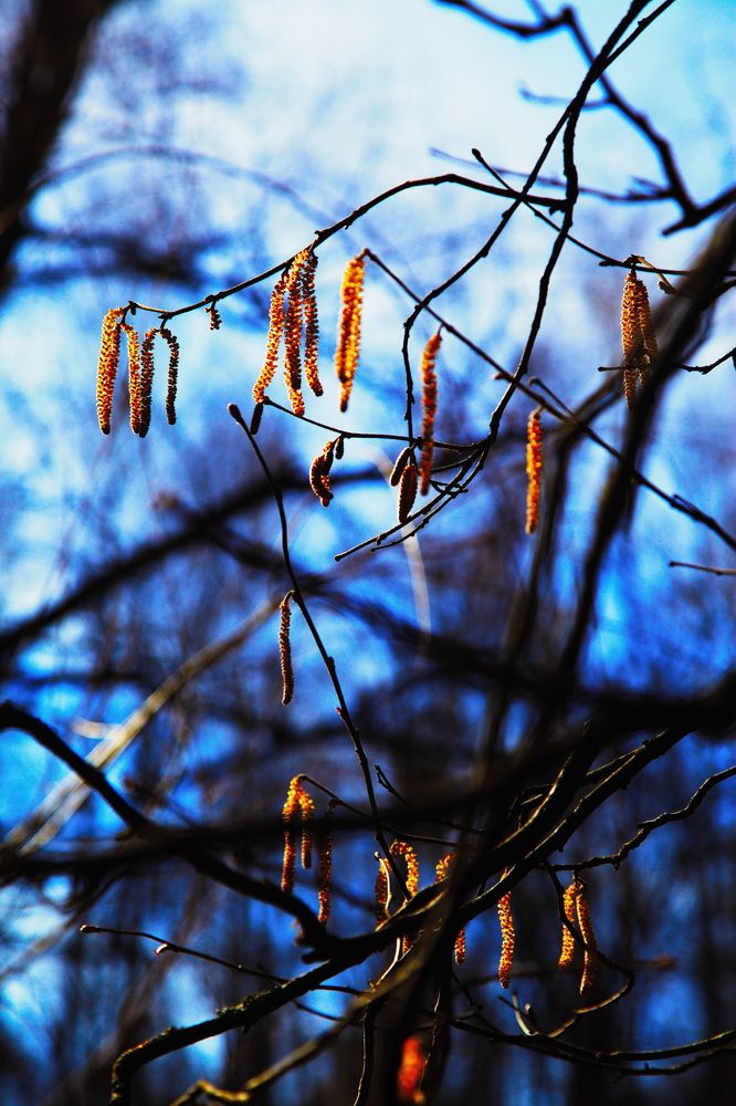 Photograph by Анатолий Протасов