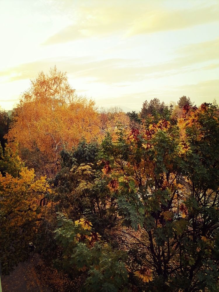 Photograph by Vesna Petkoska