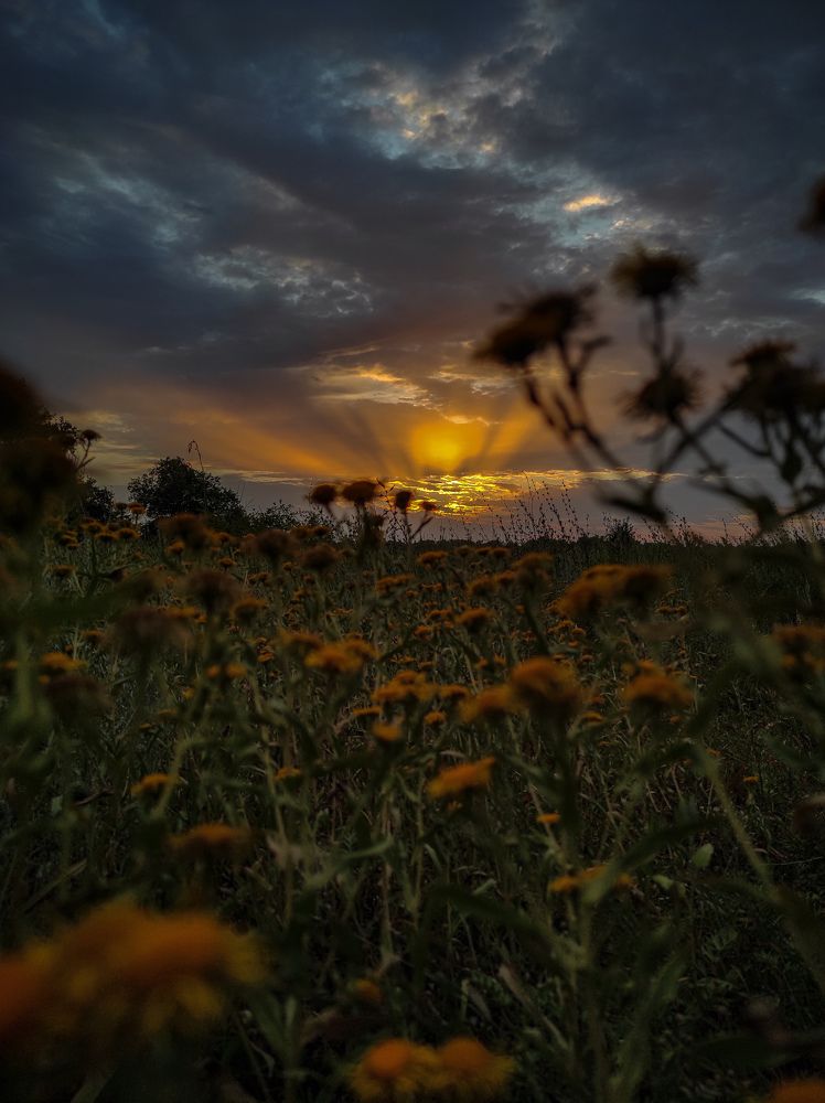 Photograph by Иван Коваленко