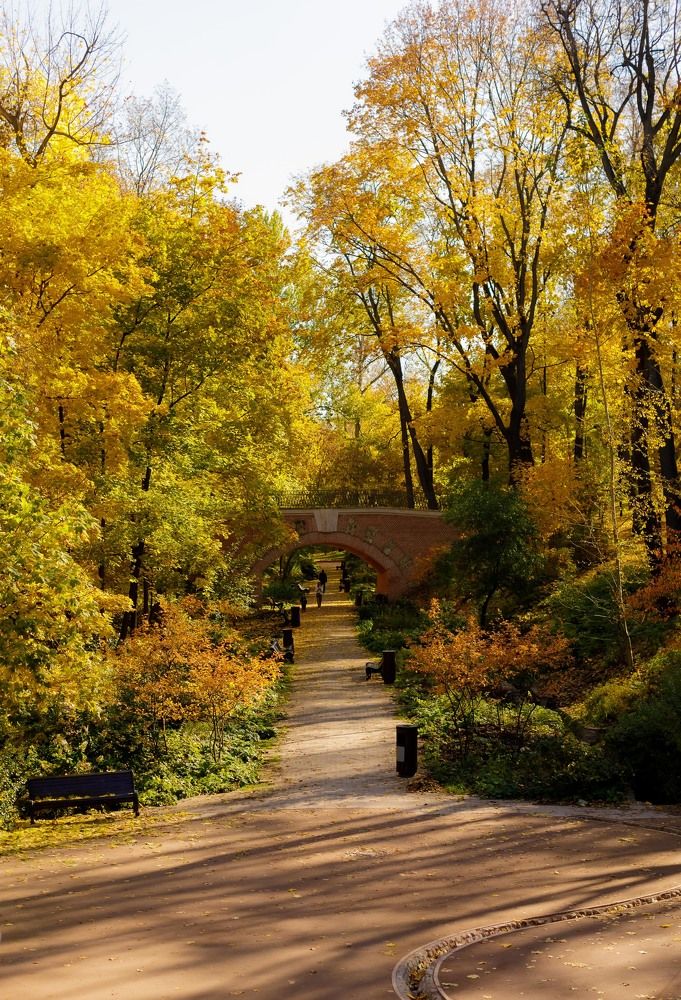 Photograph by Юлия Герман