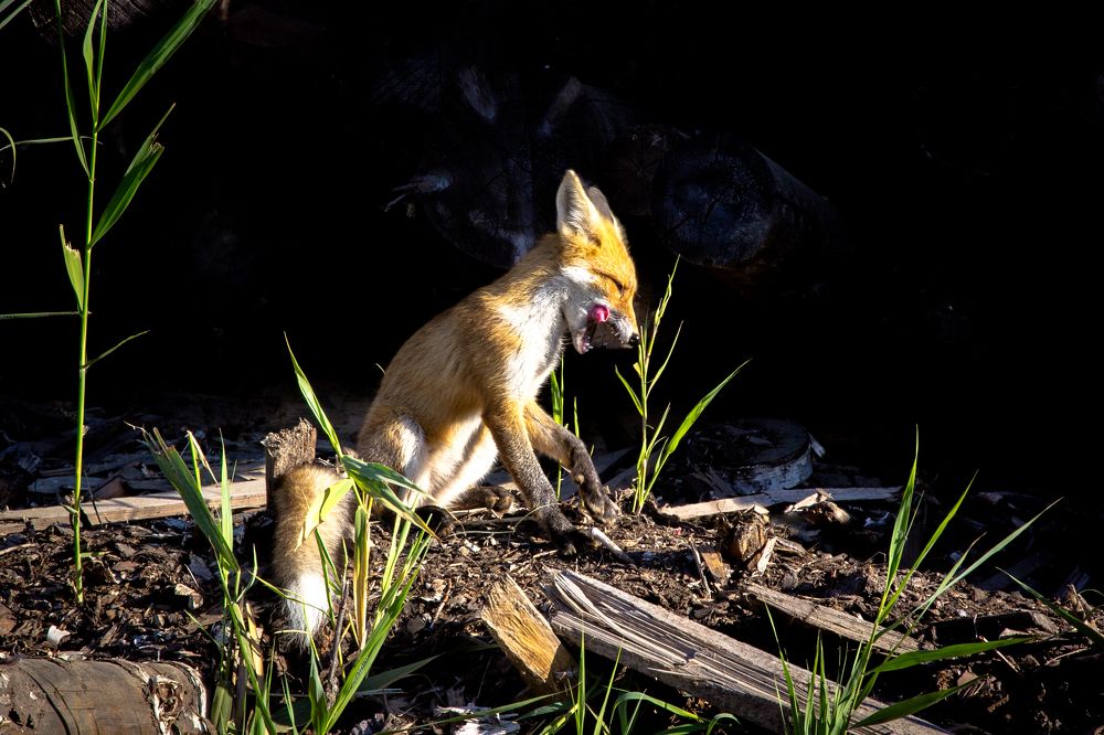 Photograph by Александр Силинский