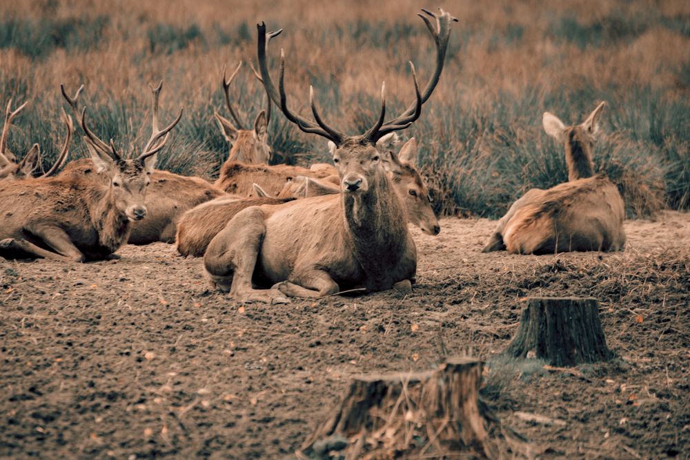 Фотография автора Ольга Круковская