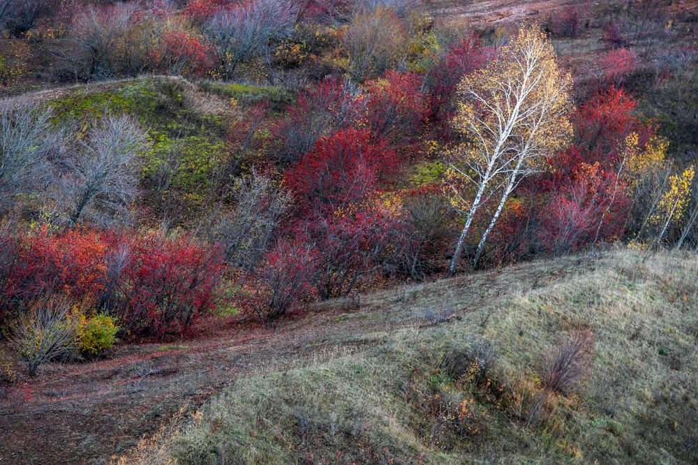 Photograph by Юлия Яровая