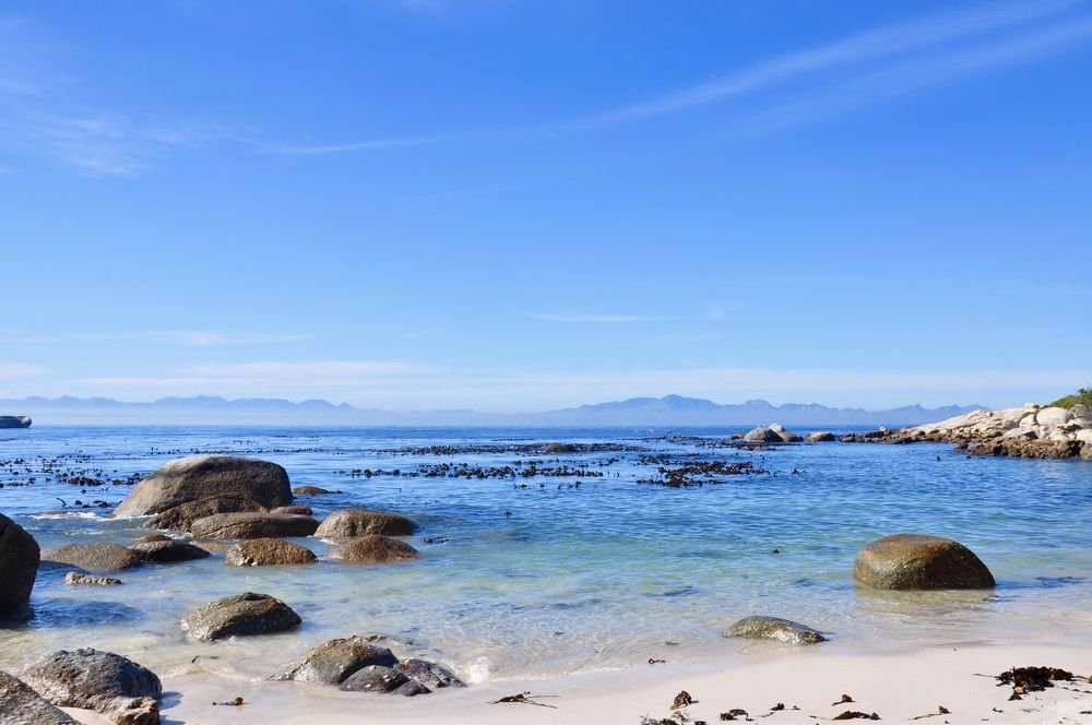 Photograph by Sandra Bruttomesso