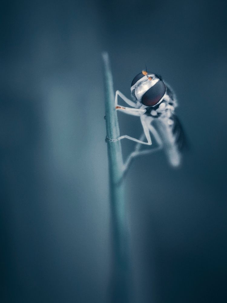 Photograph by Алексей