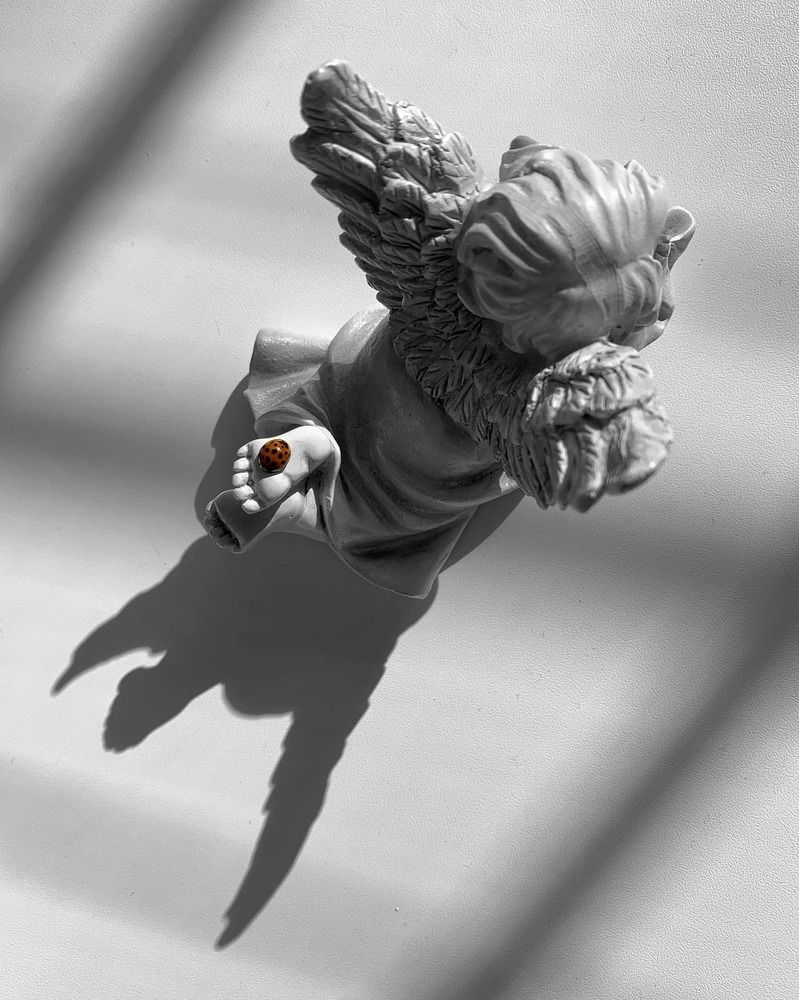 Photograph by Надежда Смирнова