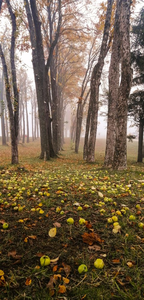 Photograph by Наталья Клячина