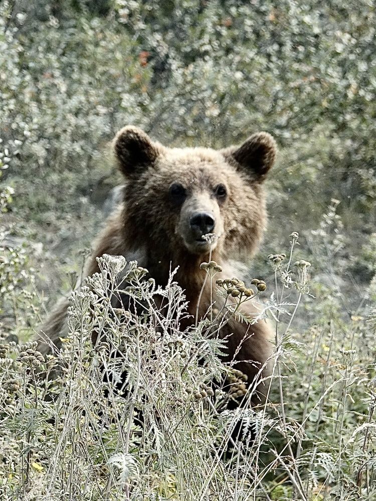 Photograph by Евгения Казакова