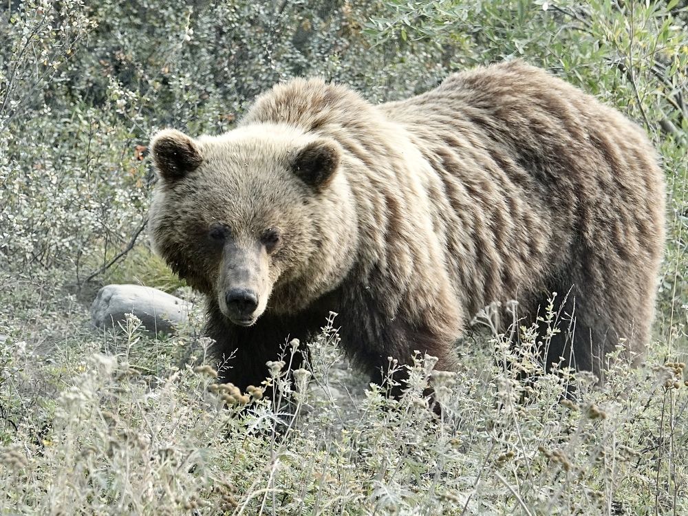 Photograph by Евгения Казакова