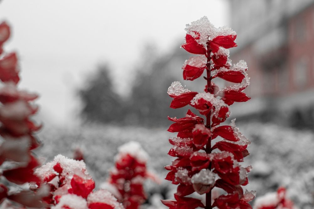 Photograph by Артем Штылев