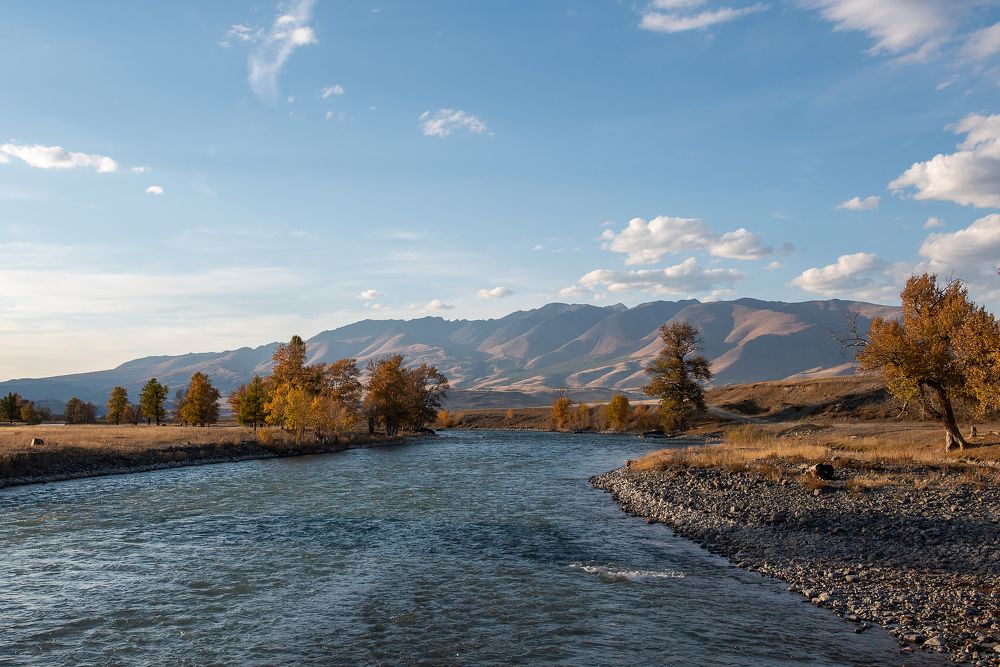 Photograph by Дарья Белых