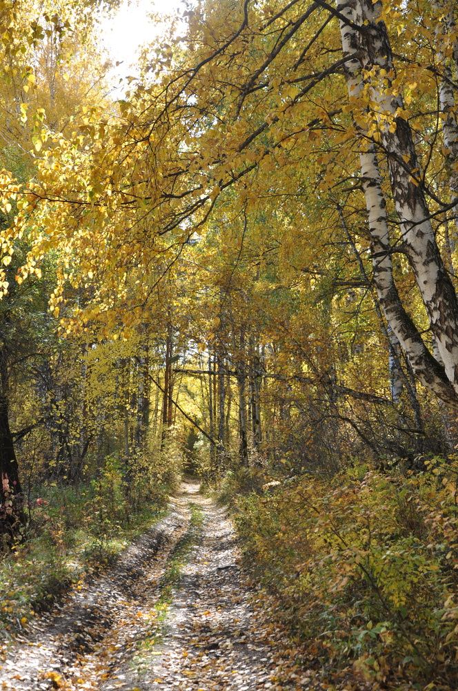 Photograph by Екатерина Анциферова