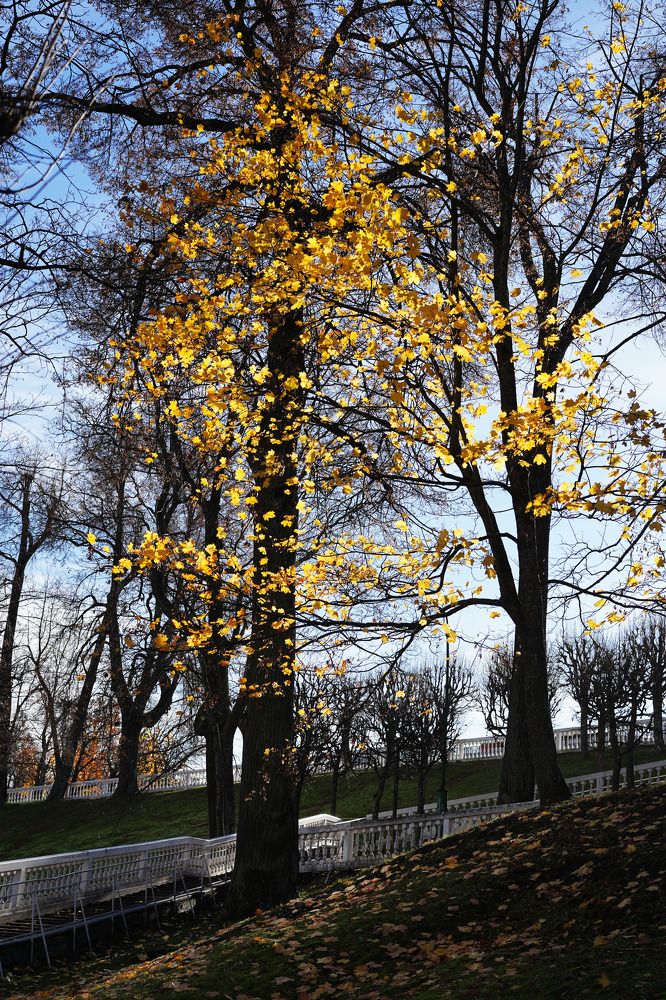 Photograph by Ирина Кокшарова