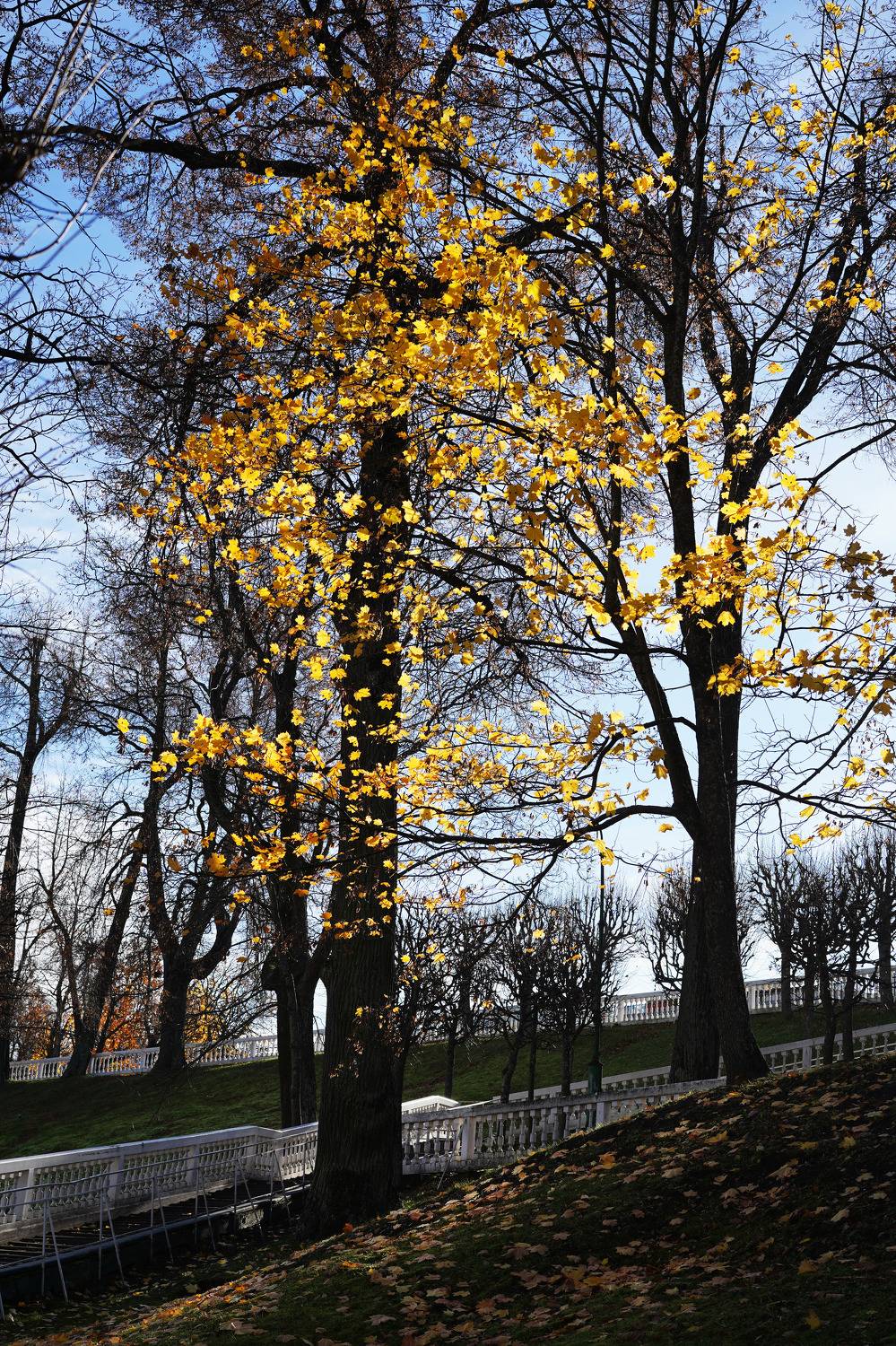 Photo #8279897