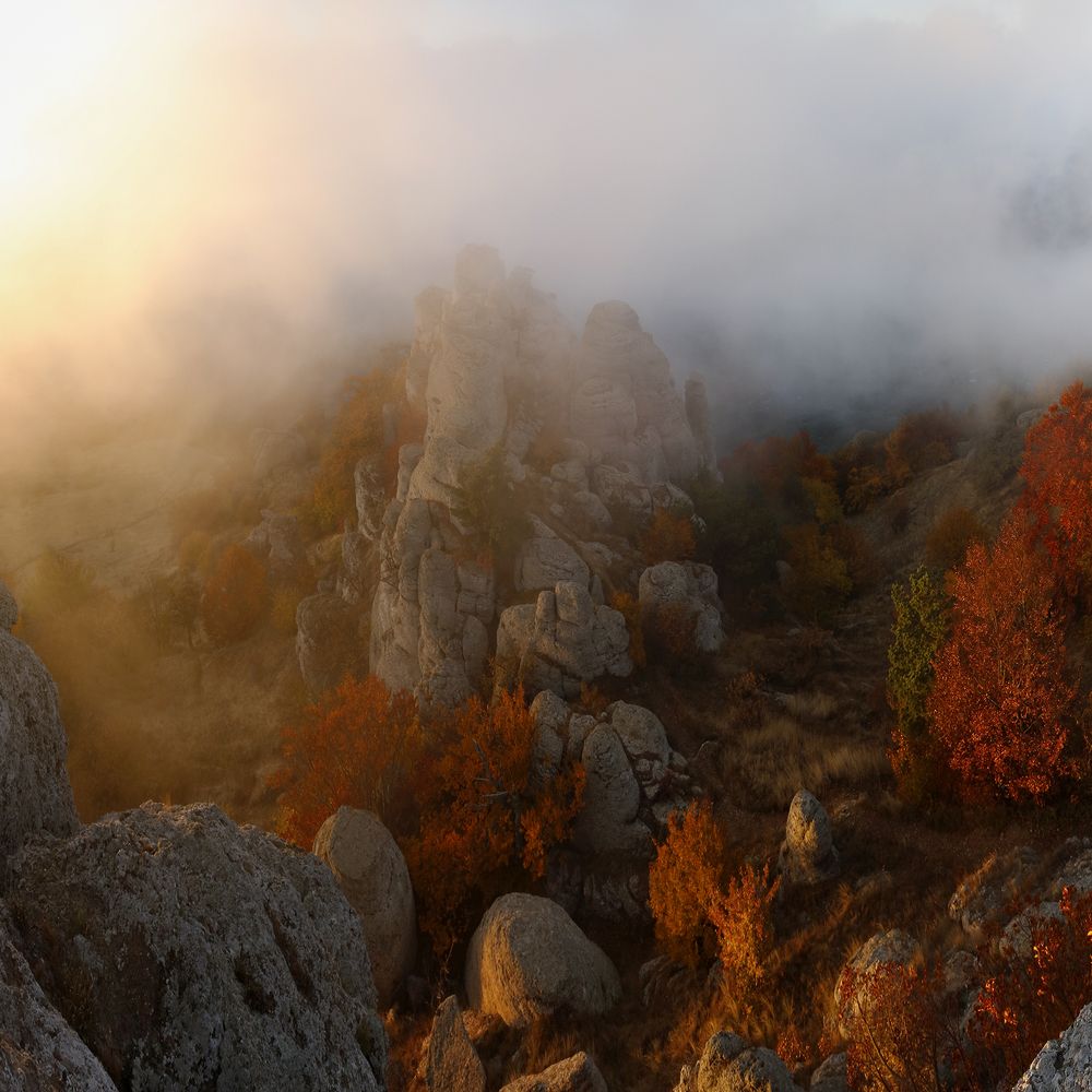 Осенним утром.