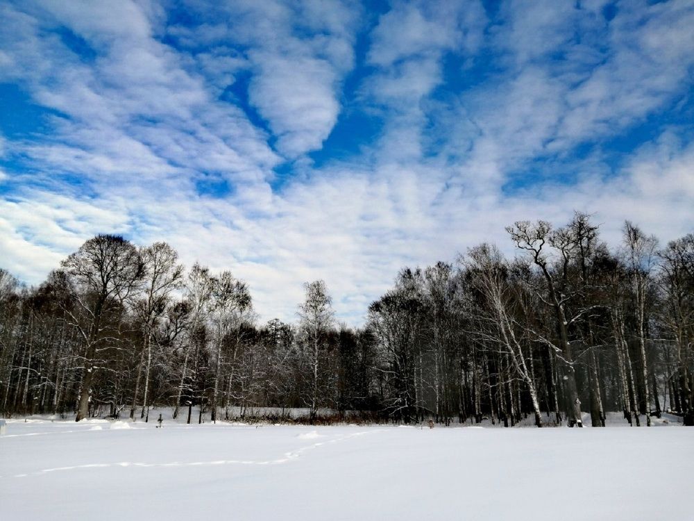 Photograph by Ольга Пришедько