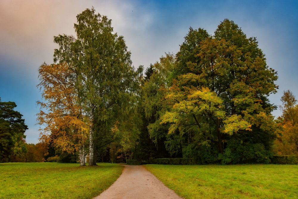 Photograph by Aleks Stolz