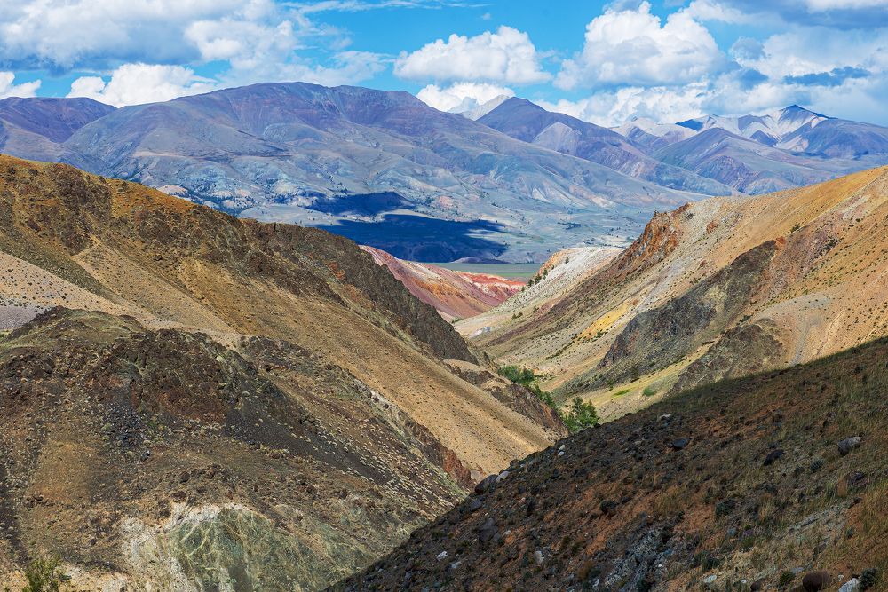 Photograph by Дарья Белых