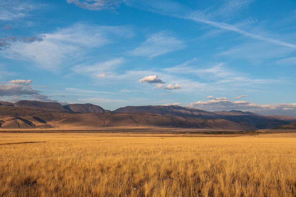 Photograph by Дарья Белых