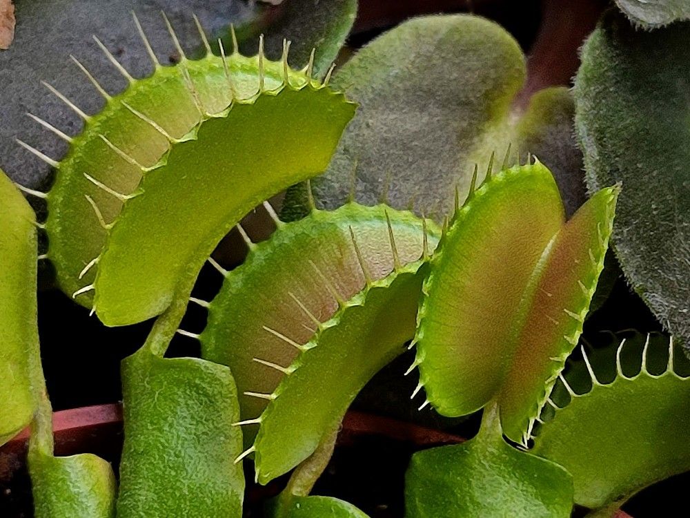 Photograph by Людмила