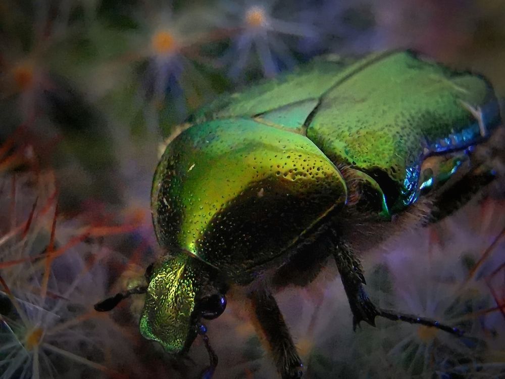 Photograph by Колоскова Мария