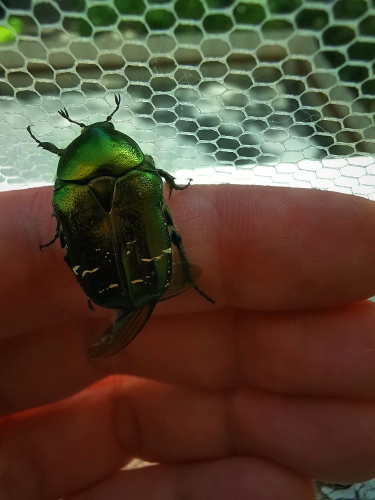 Photograph by Колоскова Мария