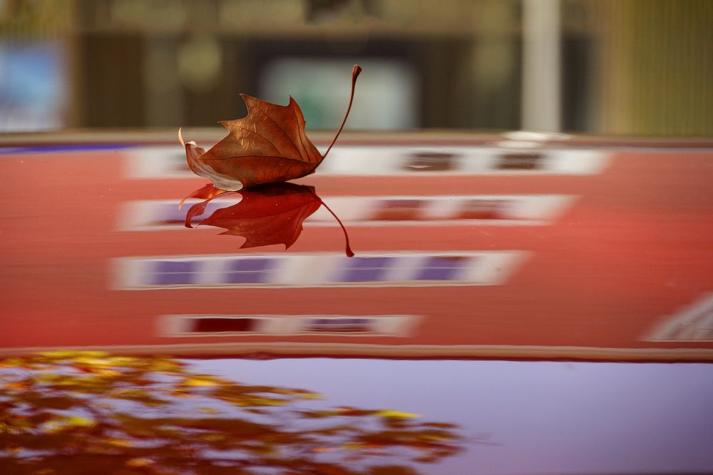 Photograph by Наталья Ростовская