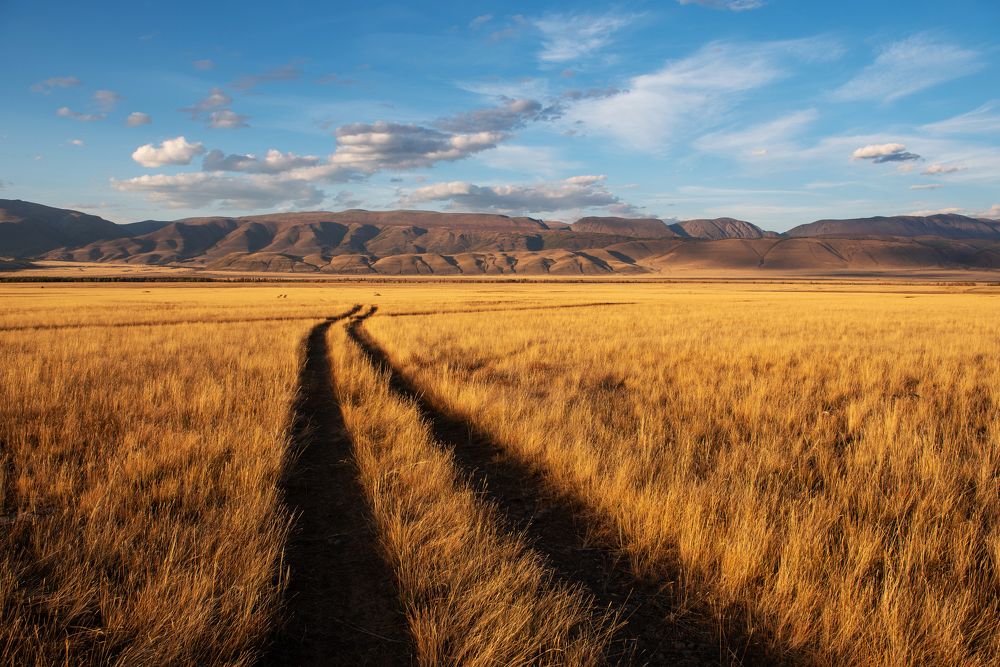 Photograph by Дарья Белых