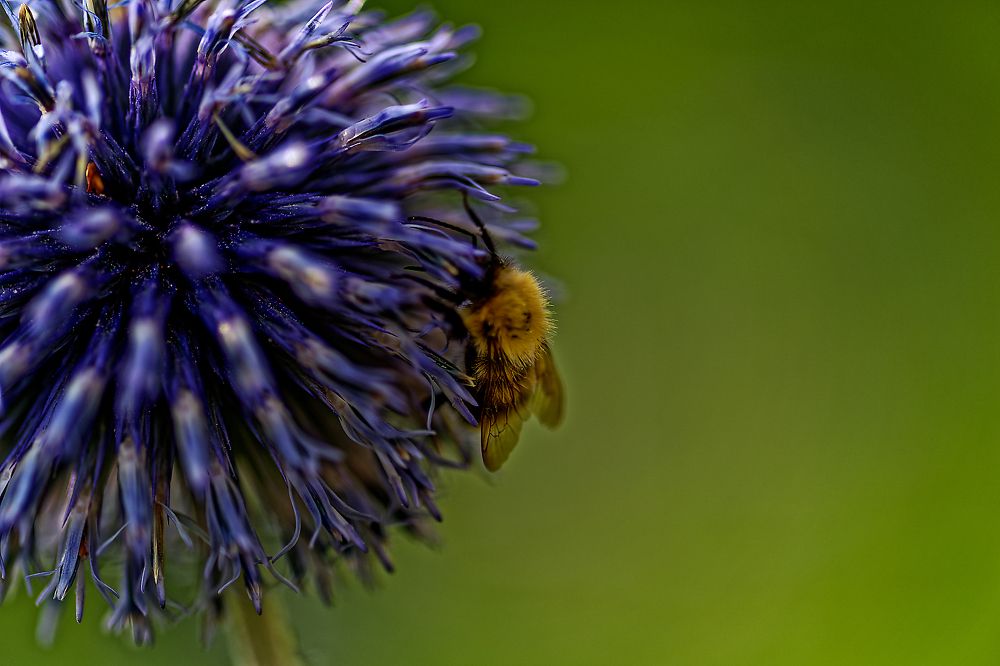 Photograph by Aleksei Degtjarjov