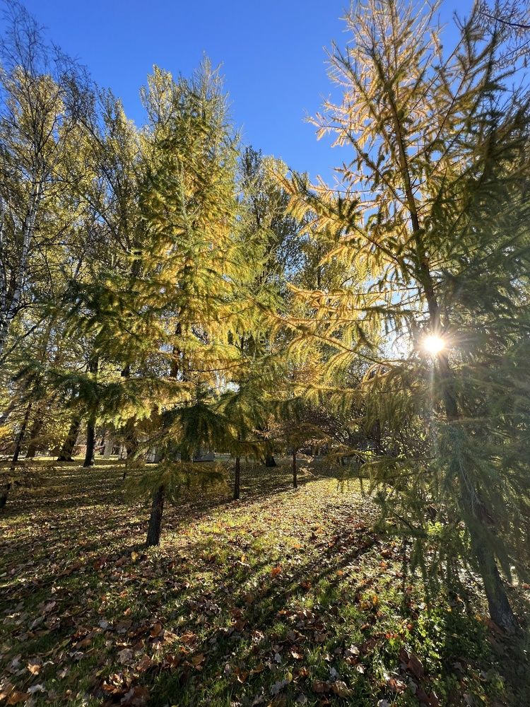 Photograph by Надежда Заломаева