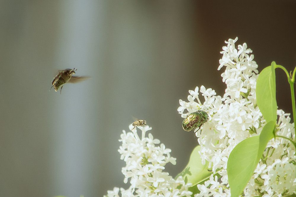 Photograph by Юлия Лушникова