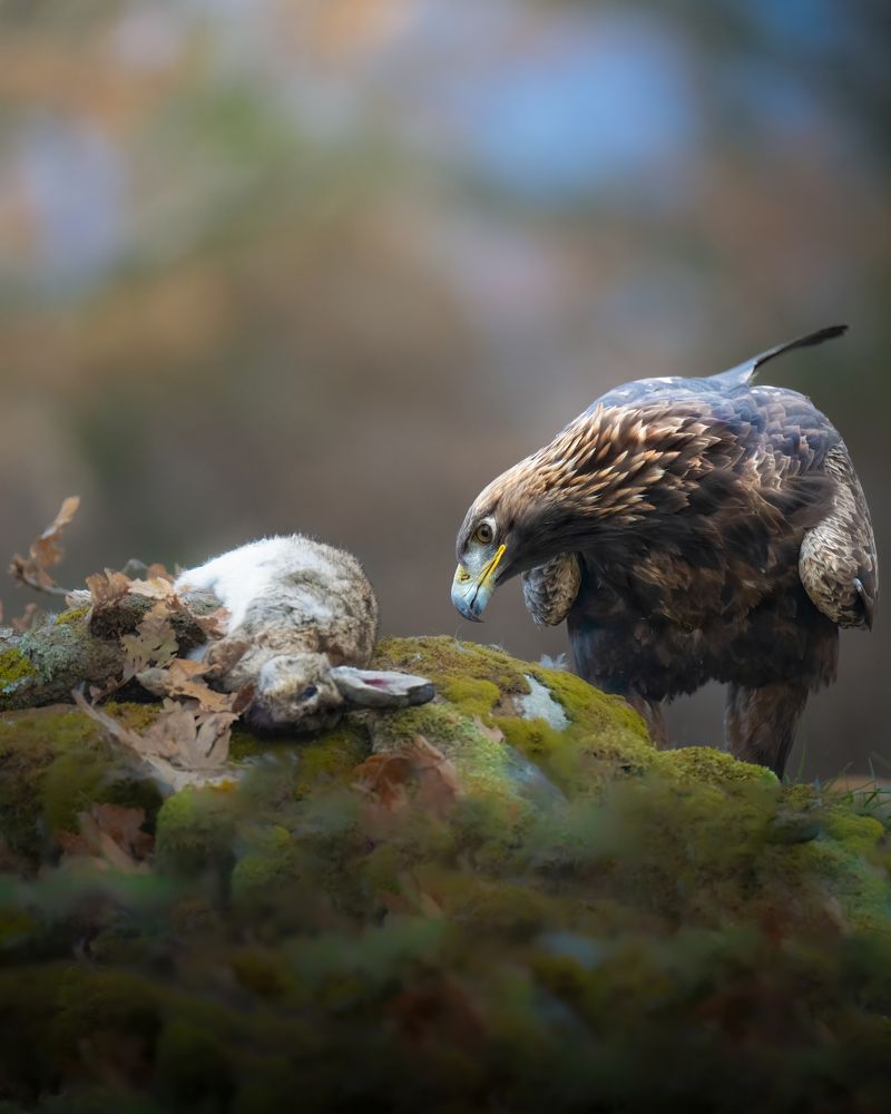 Photograph by Alexandra Surkova