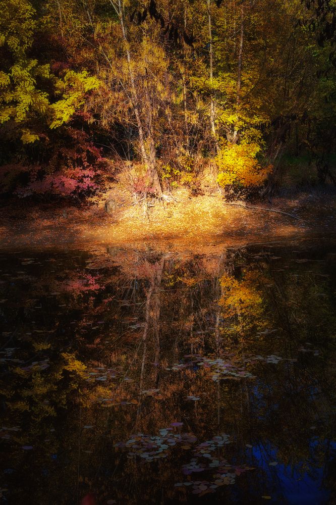 Осенний сон