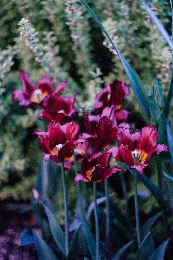 Photograph by Наталья Молоткова