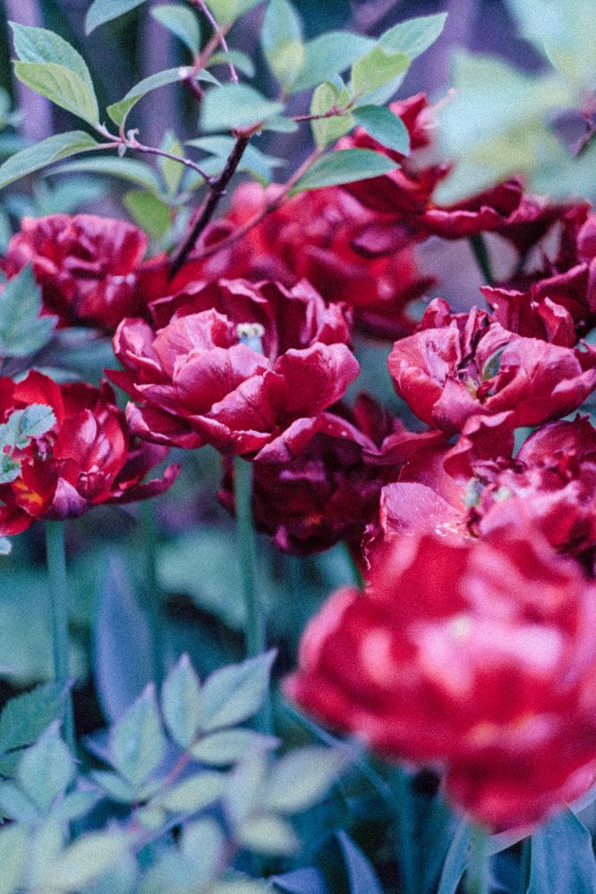 Photograph by Наталья Молоткова