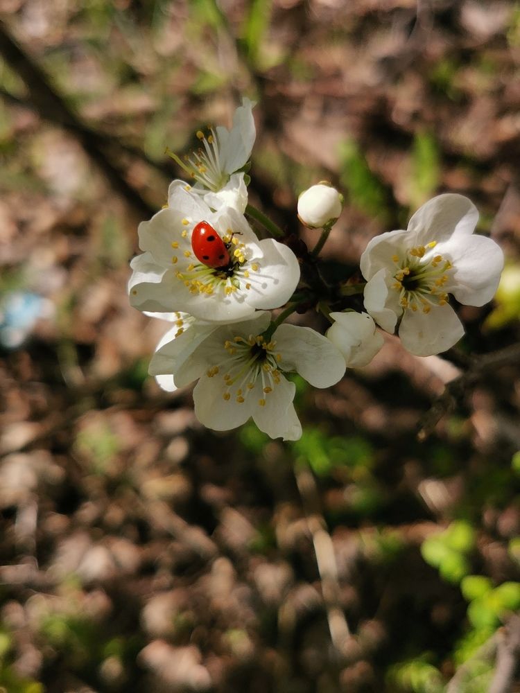 Photograph by Екатерина Чернова-Груздева