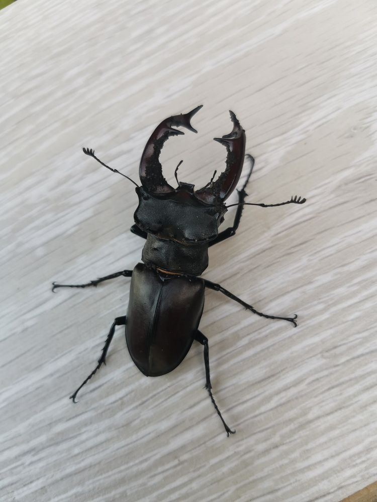 Photograph by Екатерина Чернова-Груздева