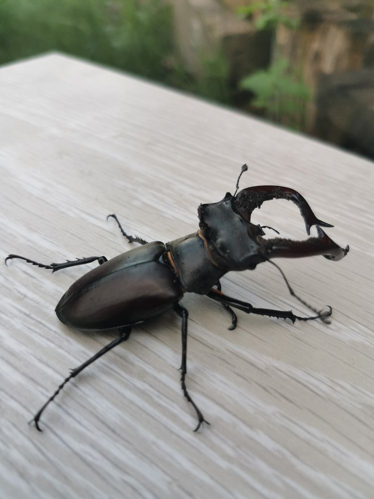 Photograph by Екатерина Чернова-Груздева