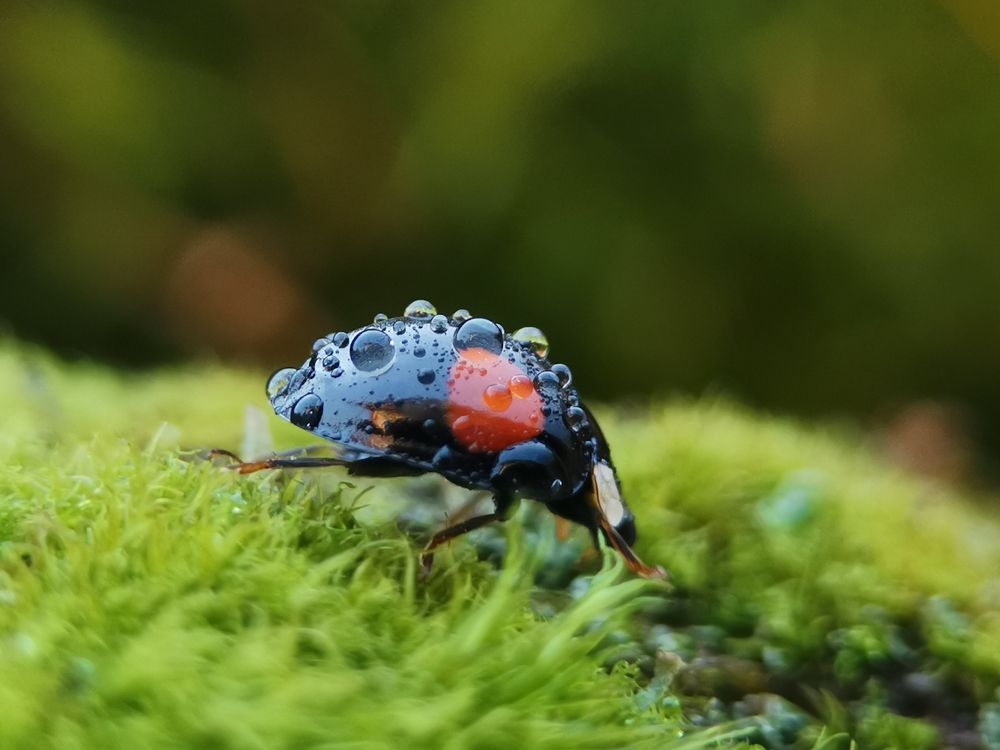 Photograph by Наталья Балабанова