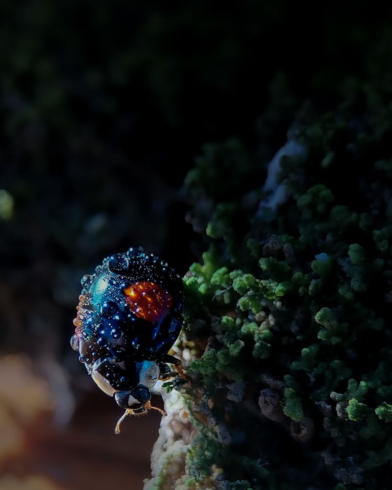 Photograph by Наталья Балабанова