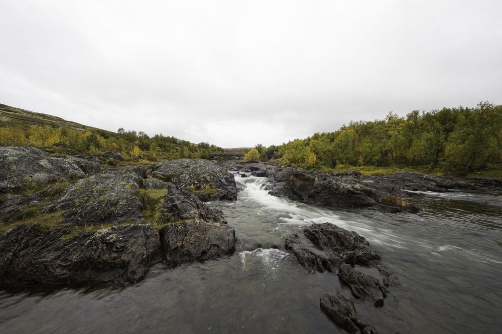 Photograph by Edwin van der Meer