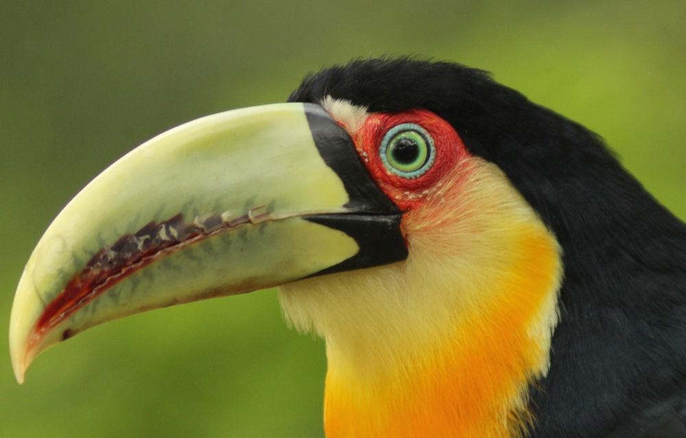 Photograph by Ricardo Venerando