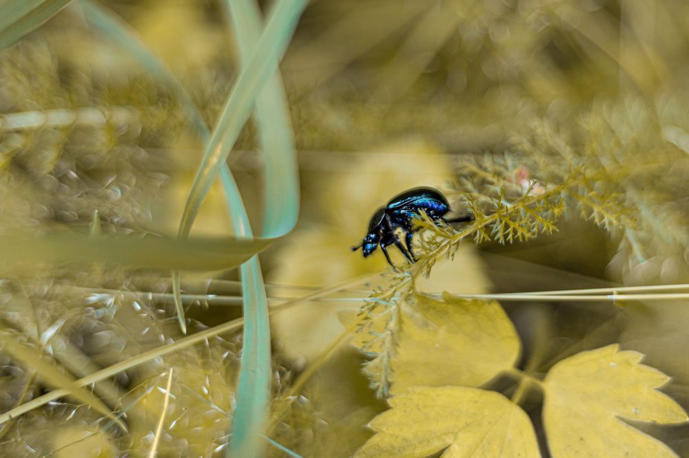 Photograph by Мария Федорова