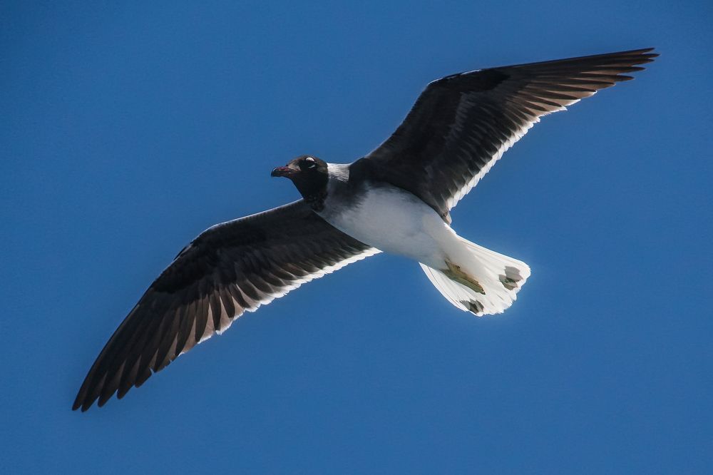 Photograph by Svetlana Karnauh Карнаух