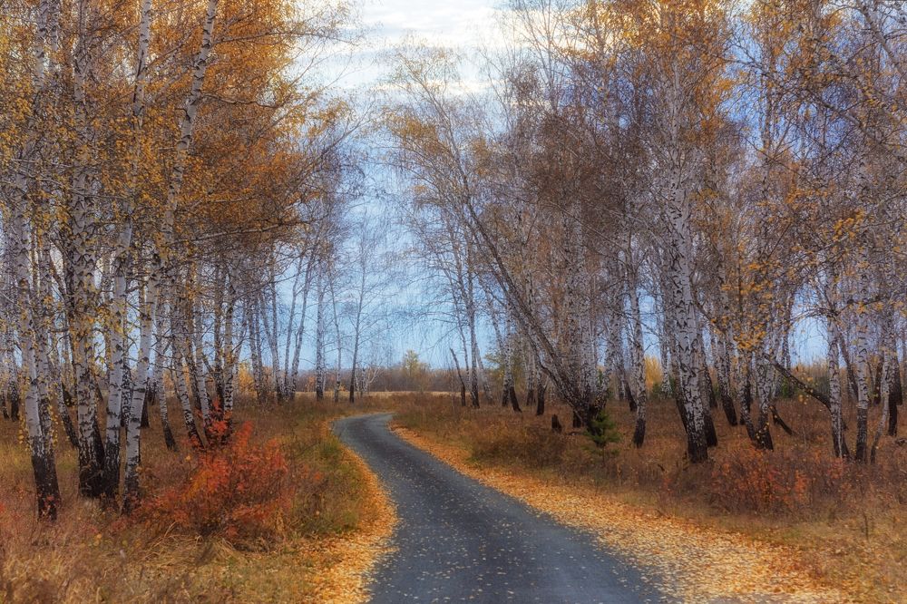 Photograph by Александр Канцур