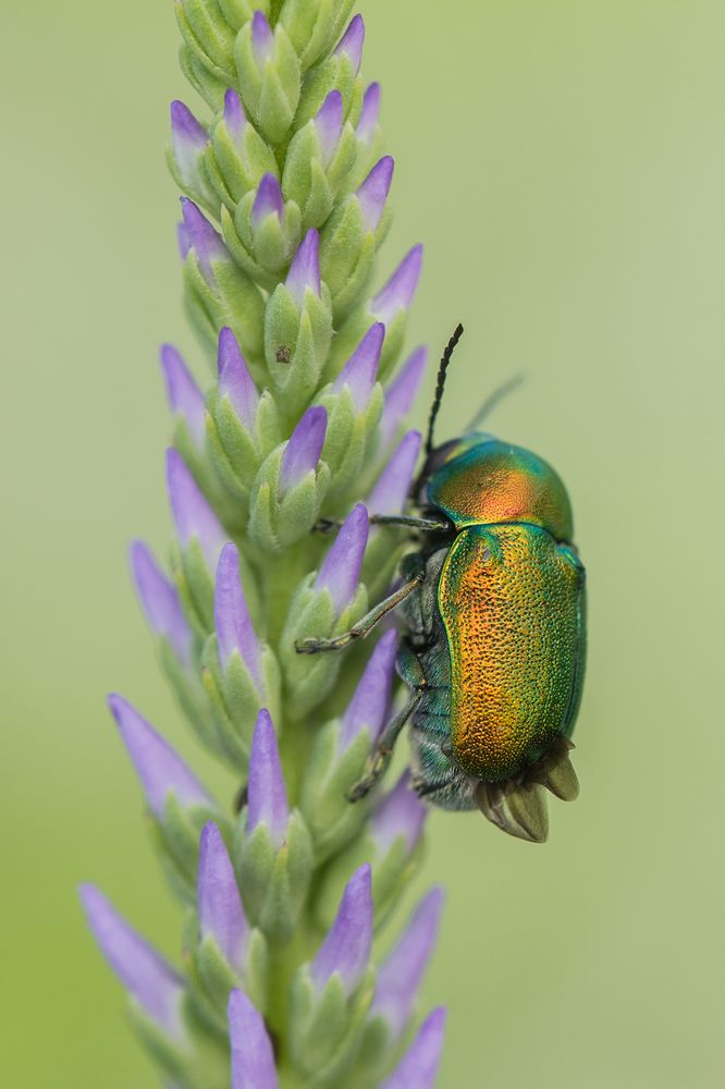 Photograph by Илья Михеев