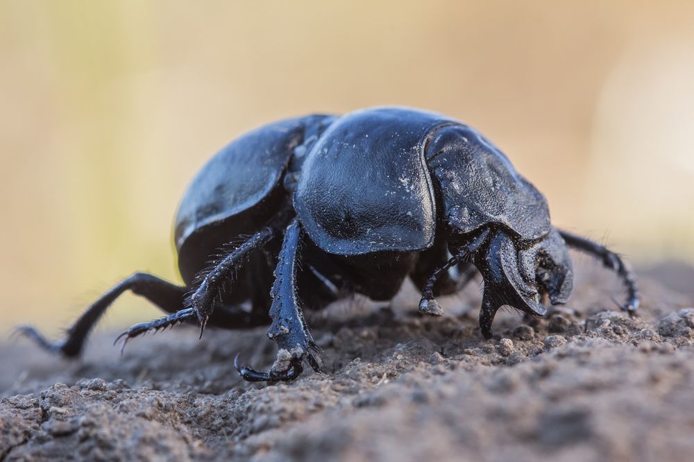 Photograph by Илья Михеев