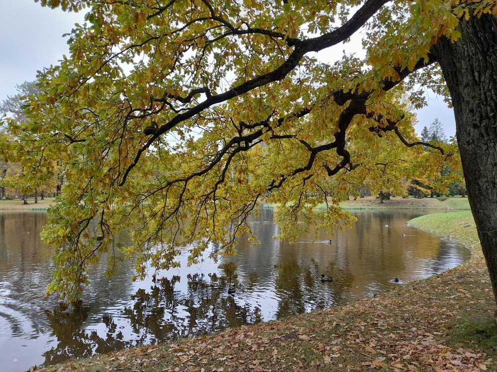 Photograph by Елена Грошева